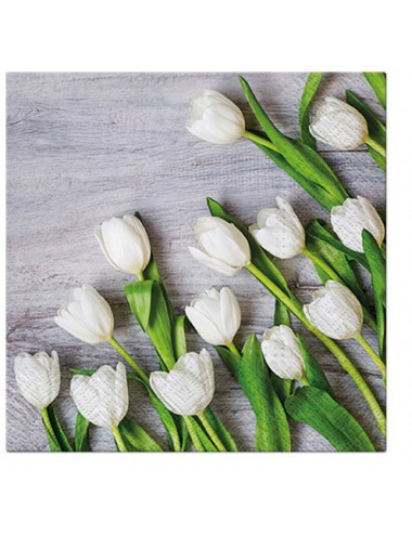 Pl Serwetki White Tulips